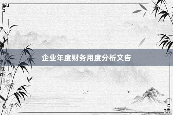 企业年度财务用度分析文告